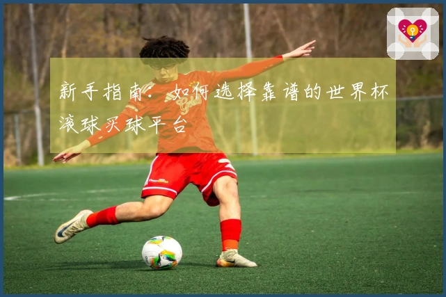 新手指南：如何选择靠谱的世界杯滚球买球平台