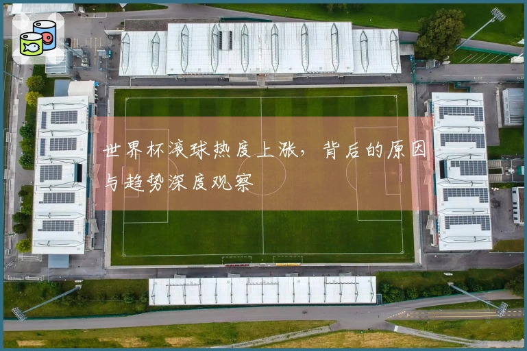 世界杯滚球热度上涨，背后的原因与趋势深度观察
