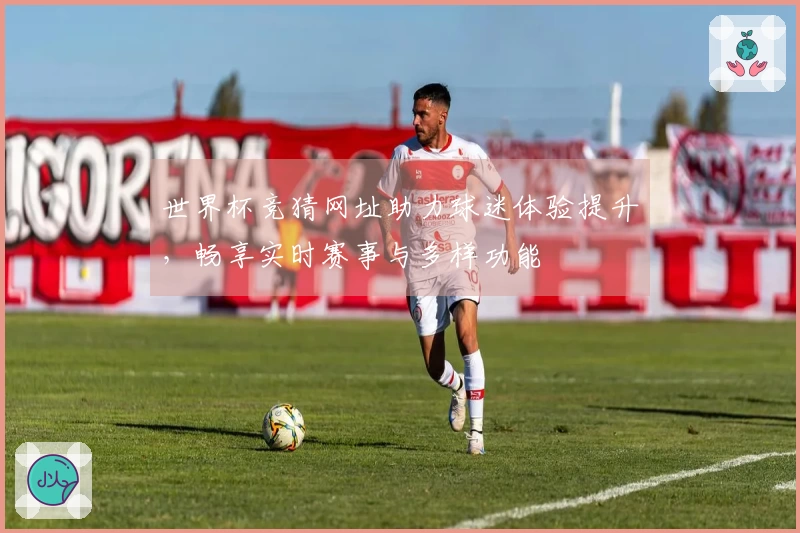世界杯竞猜网址助力球迷体验提升,畅享实时赛事与多样功能