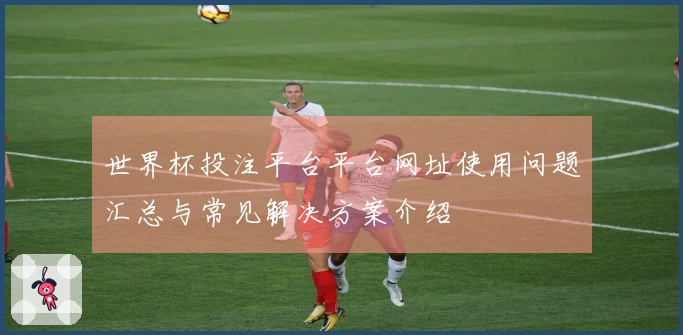 世界杯投注平台平台网址使用问题汇总与常见解决方案介绍