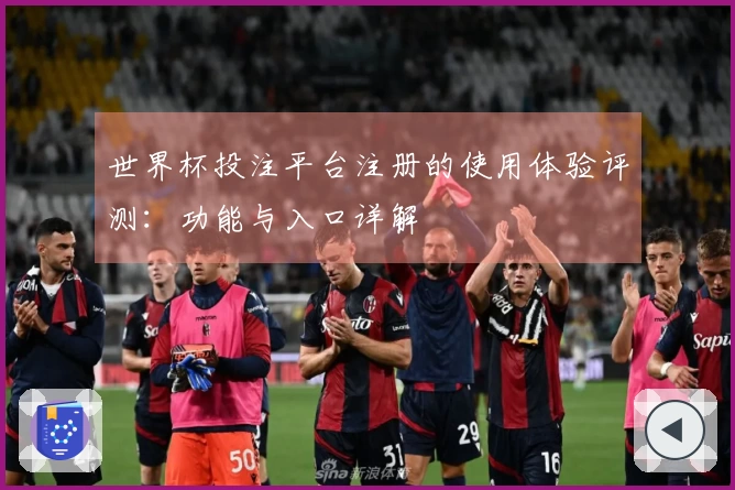 世界杯投注平台注册的使用体验评测:功能与入口详解
