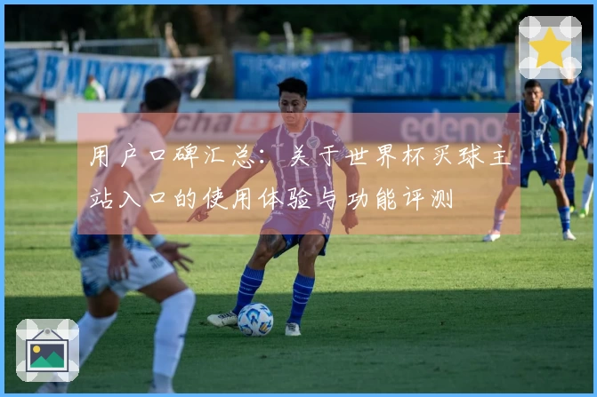 用户口碑汇总：关于世界杯买球主站入口的使用体验与功能评测