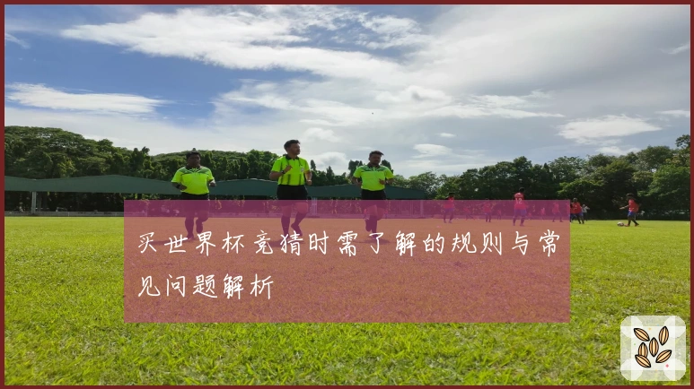 买世界杯竞猜时需了解的规则与常见问题解析