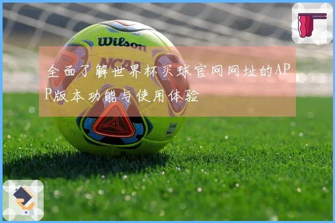 全面了解世界杯买球官网网址的APP版本功能与使用体验