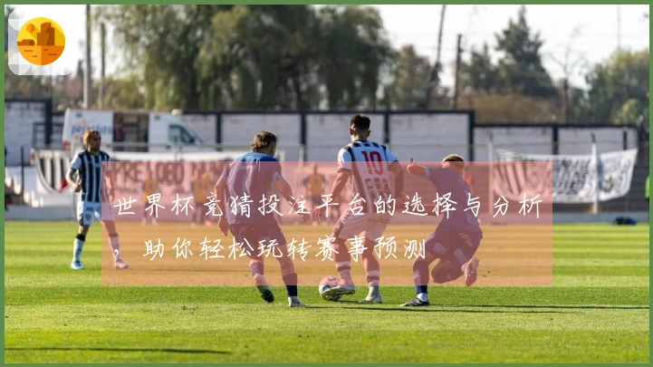 世界杯竞猜投注平台的选择与分析，助你轻松玩转赛事预测