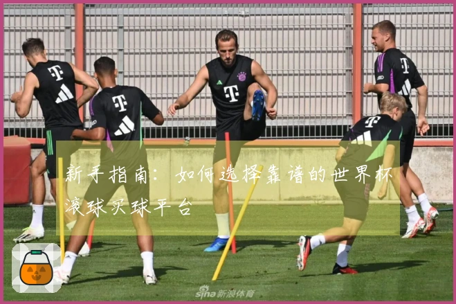 新手指南：如何选择靠谱的世界杯滚球买球平台