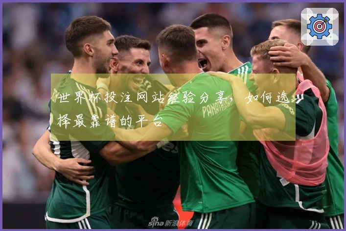 世界杯投注网站经验分享，如何选择最靠谱的平台