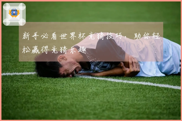 新手必看世界杯竞猜技巧，助你轻松赢得竞猜乐趣