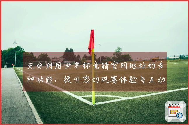 充分利用世界杯竞猜官网地址的多种功能，提升您的观赛体验与互动乐趣
