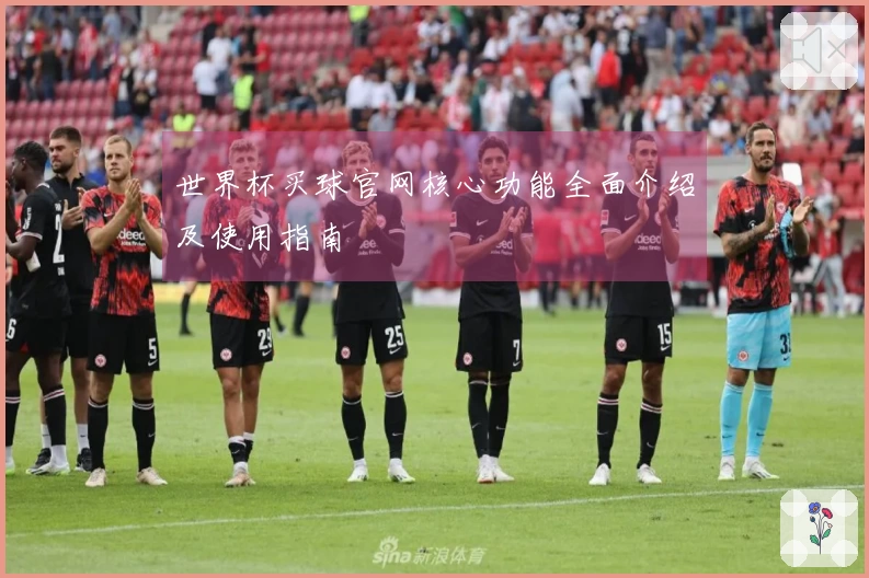 世界杯买球官网核心功能全面介绍及使用指南
