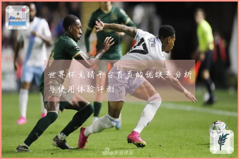 世界杯竞猜平台首页的优缺点分析与使用体验评测