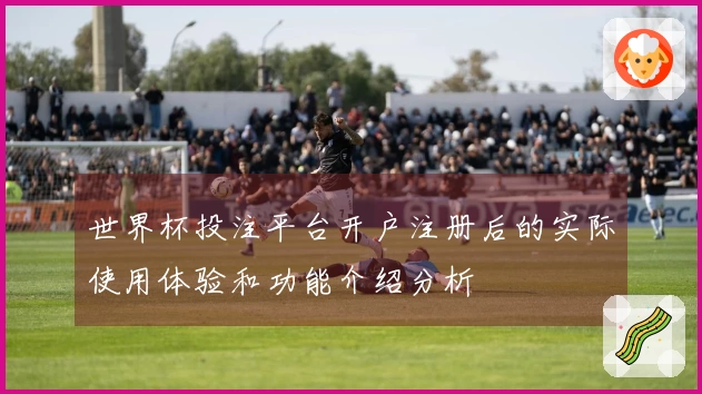 世界杯投注平台开户注册后的实际使用体验和功能介绍分析