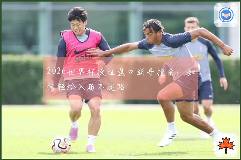 2026世界杯投注盘口新手指南，如何轻松入局不迷路