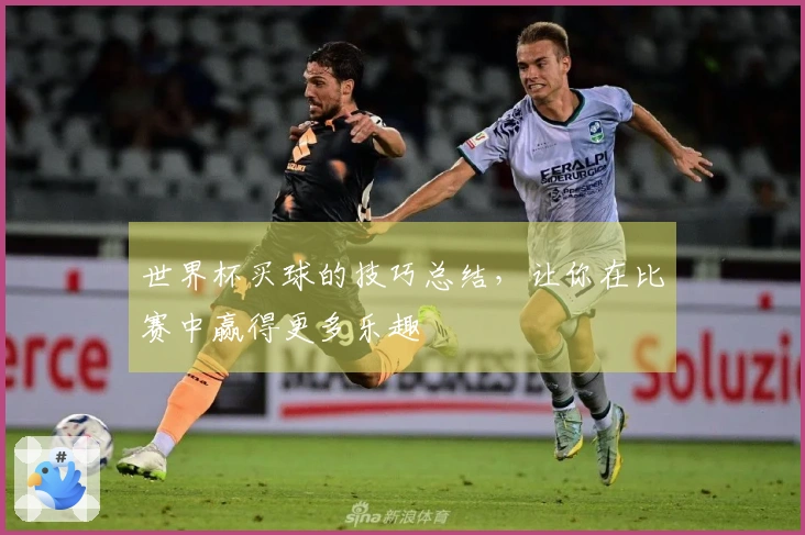 世界杯买球的技巧总结，让你在比赛中赢得更多乐趣