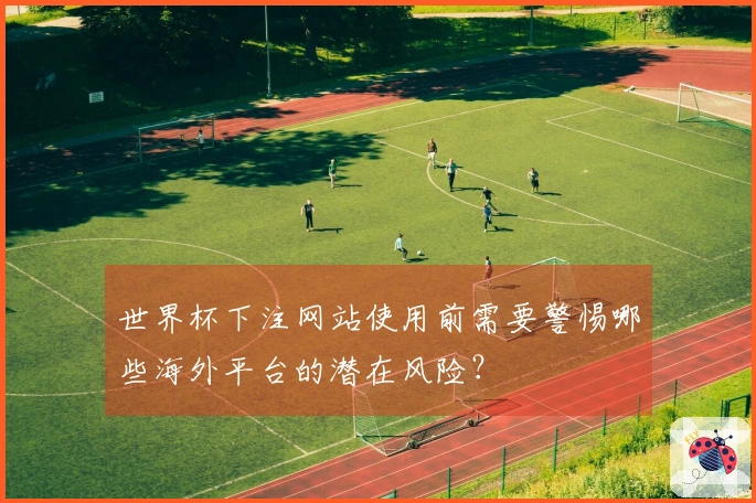 世界杯下注网站使用前需要警惕哪些海外平台的潜在风险？