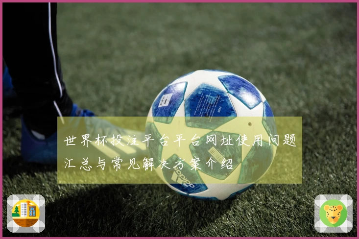 世界杯投注平台平台网址使用问题汇总与常见解决方案介绍
