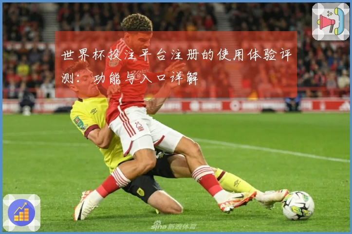 世界杯投注平台注册的使用体验评测：功能与入口详解